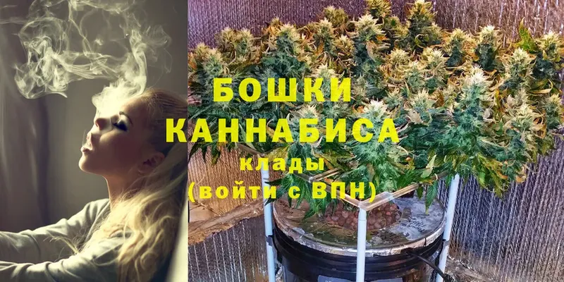 Бошки Шишки White Widow  закладка  Ершов 